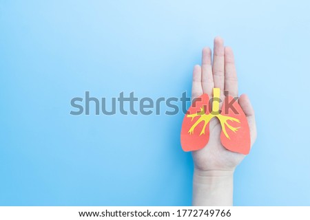 Pulmonary disease treatment and lung transplant concept. Human hands holding healthy lung shape made from paper on light blue background. Copy space. Royalty-Free Stock Photo #1772749766