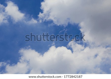 Soft white clound and blue sky background
