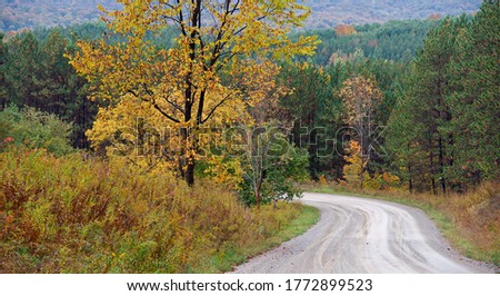 Winding country road in rural scenery 