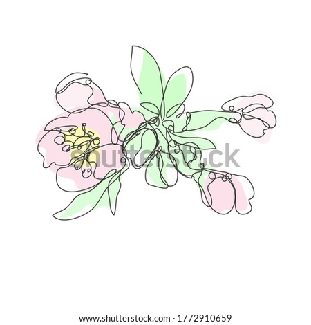 Decorative hand drawn cherry blossom sakura flowers, design element. Can be used for cards, invitations, banners, posters, print design. Continuous line art style