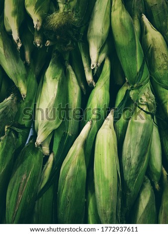 The bananas green, at green background Royalty-Free Stock Photo #1772937611