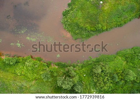 small swamp with green beach aerial view