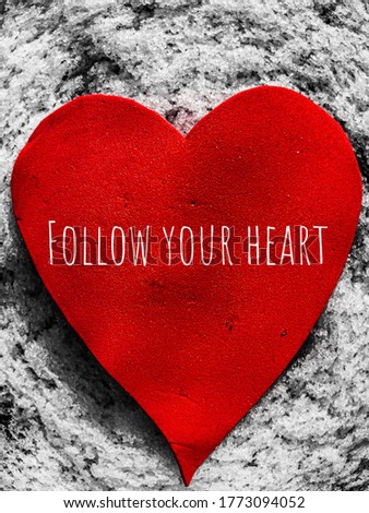 Heart with message: follow your heart