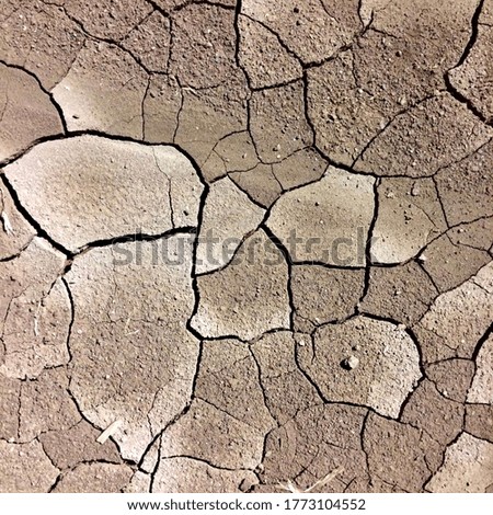 Dry soil textured background brown Royalty-Free Stock Photo #1773104552