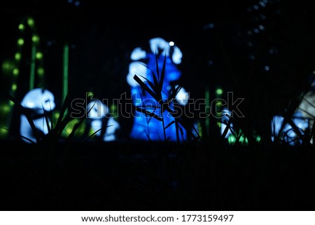 This is a picture of the lantern party.
It's a design photo.
The shadow is a unique picture.