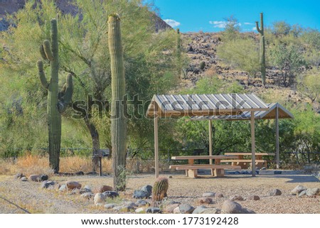 Picnic area with picnic table and barbecue in Lake Pleasant Regional Park. Sonoran Desert, Arizona USA 