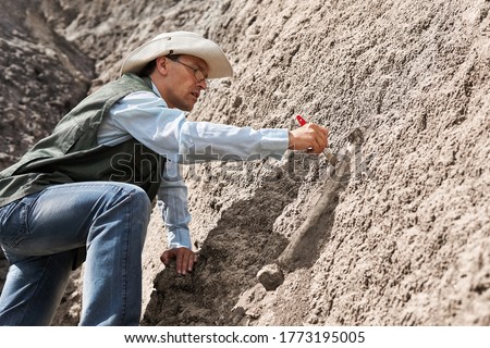 paleontologist extracts fossil bone from a rock by cleaning it with a brush Royalty-Free Stock Photo #1773195005