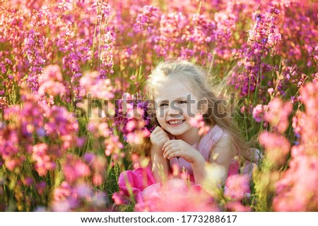 Cute blonde girl in a pink dress walks in a flowering field at sunset. Pink flowers (viscaria vulgaris) on meadow, flowers field. Russian rural summer nature. Countryside, village in Russia. 