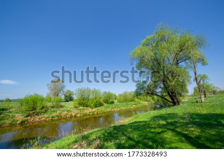 Spring photography, river flowing through the forest, clear blue sky, calm tenderness