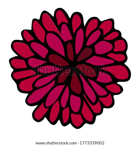 A blossoming bud of aster and chrysanthemum in doodle style. Outline drawing vector illustration. The element is drawn by hand and isolated on a white background. For cards and invitations, birthday.