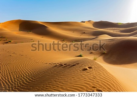 magical beautiful desert landscape in the UAE