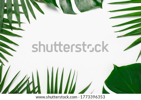 Tropical background. Tropical palm leaves and monstera leaf on white background. Flat lay top view copy space. Summer background, nature. Creative minimal background with tropical leaves. Leaf pattern