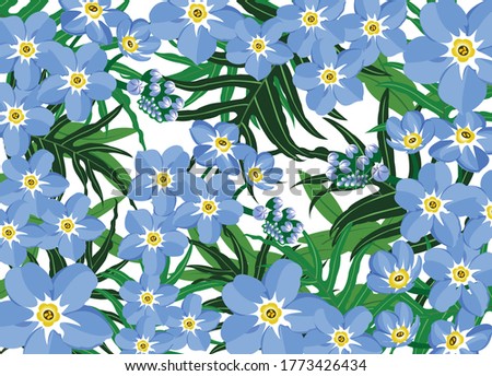 Wildflowers blooming delicate forget-me-not flowers background. Vector illustration