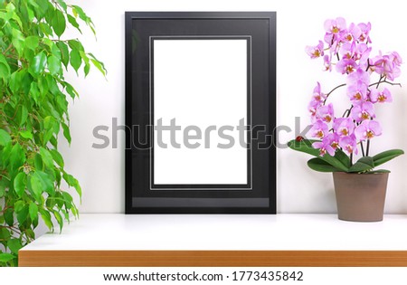 Empty frame to personalize placed on a white desk next to a computer, pink orchid flower and a potted ficus tree, for staging a photo or drawing, pink orchid with a ladybug placed on a leaf