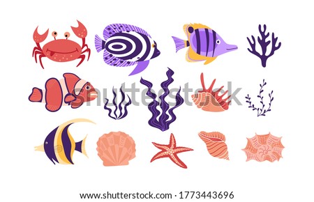Underwater tropical creatures and objects isolated on white background. Flat vector illustration.