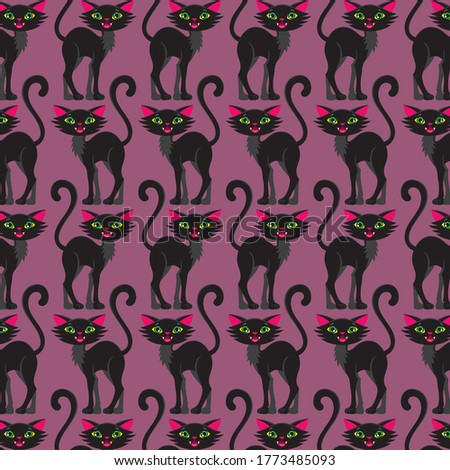 Black cat, a magical animal. Pattern.