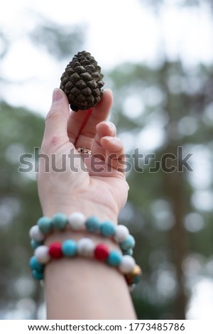 Woman's hand holding pinecone amid pine forest. Nature lover like taking picture of pinecone / pinecones when trekking. Hand holding pinecones is symbol of nature lover. Eco friendly travel concept. 
