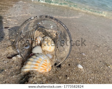 Seashells in a cup on the beach with sand and sea waves in Dubai