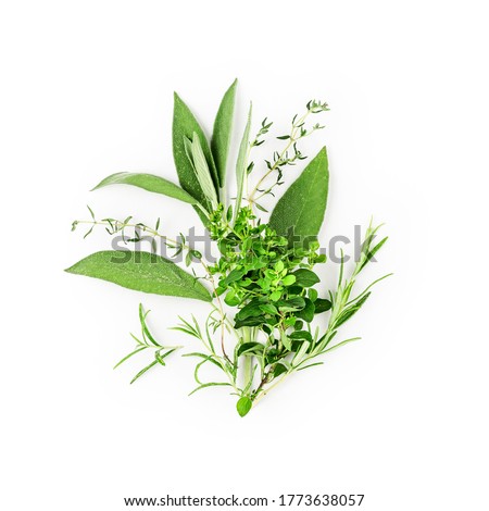 Rosemary, marjoram, sage and thyme arrangement. Creative composition with fresh herbs bunch on white background. Top view, flat lay. Floral design. Healthy eating and alternative medicine concept
 Royalty-Free Stock Photo #1773638057