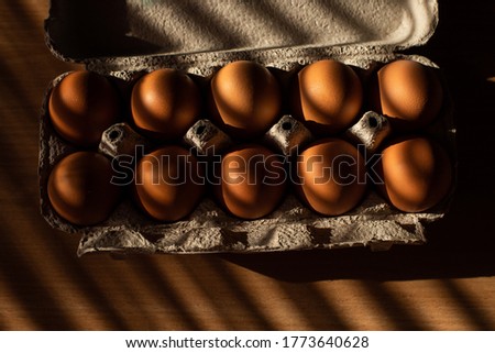shadow and light drawing ea eggs in a paper box