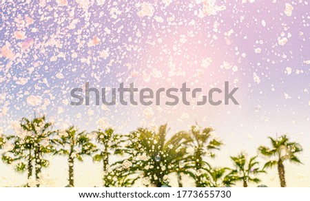 Creative toned summer background with palm trees and bubbles and soap foam from pool party blower against colorful sky backdrop. Summer holidays, vacation, fun sports, family travel, tourism concept.