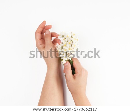 two female hands and small white flowers on a white background, fashionable concept for hand skin care, anti-aging care, spa treatments