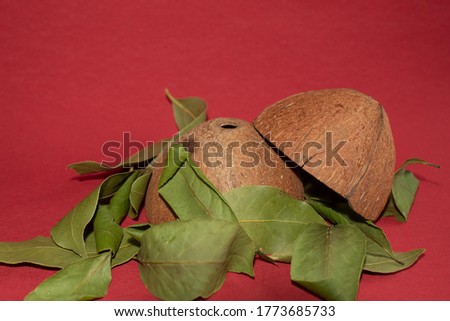 Coconut fruit peel cut in half on laurel leaves on a smooth red background