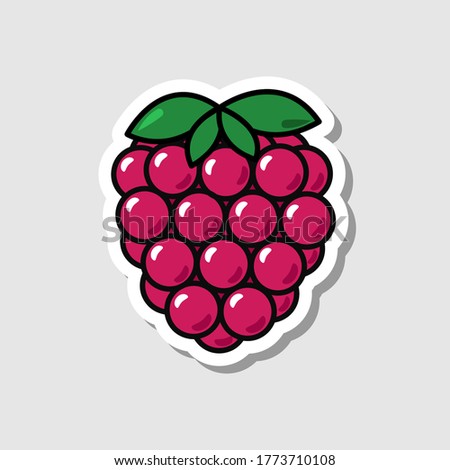 Vector raspberry sticker in cartoon style. Isolated berry with shadow.