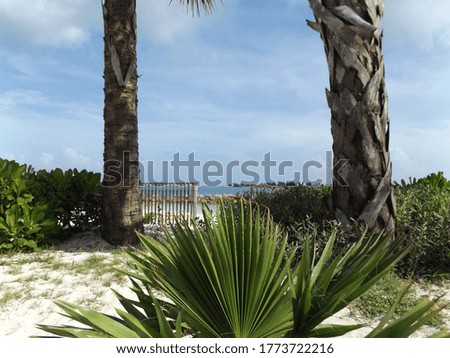Landscape overlooking the beach on a cool summers day
