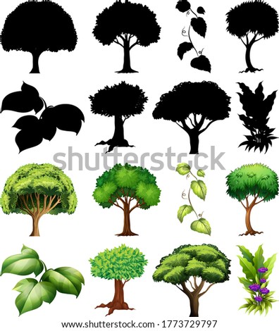 Set of plant and tree with its silhouette illustration