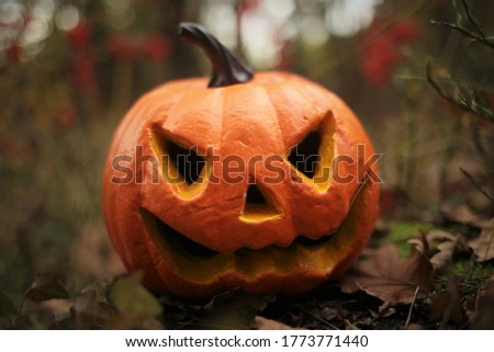 Halloween symbol. Pumpkin Jack Glowing in physalis and  brown dried leaves on autumn blurred garden background.Symbol of the autumn holiday. Holidays in October.