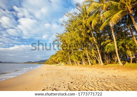 The famous idyllic beachfront of Palm Cove at sunrise in Queensland, Australia Royalty-Free Stock Photo #1773771722