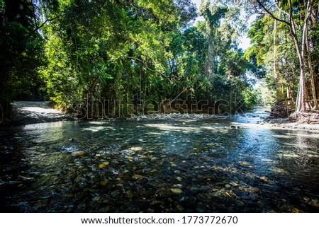 Cape Tribulation Rd which is 4WD only, crosses a river near Cape Tribulation in the Daintree, Queensland, Australia Royalty-Free Stock Photo #1773772670