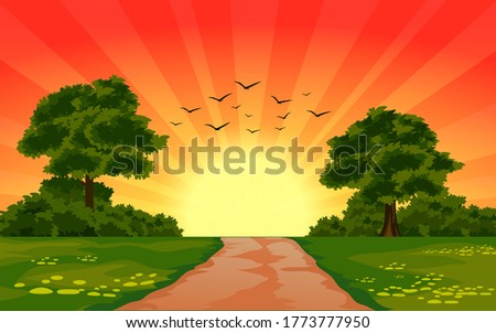 Sunset in meadow with pathway