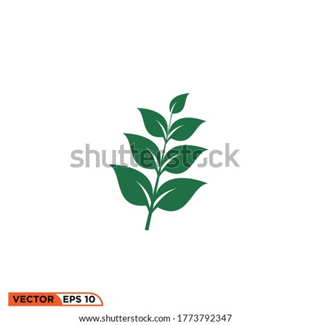 leaf icon design vector illustration template