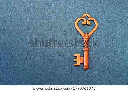Golden key. The only correct key, the correct approach to solving the problem, the concept. Vintage bronze key on a blue textured background. Open the lock, encrypt.