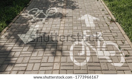 The symbol indicating the road for bicycles. Bicycle line on the street. Long road for cyclists. Bike path in the park on a sunny day. Outside safety tile road sign for riders with direction.