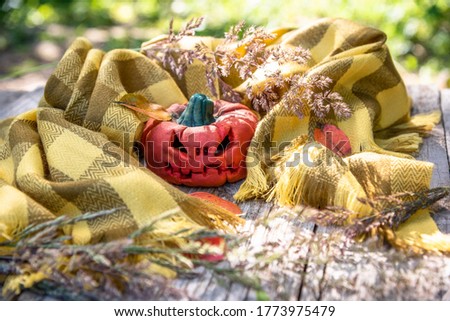 A festive pumpkin is warmed in an autumn, warm, yellow scarf, among fallen leaves and dry grass. Toothy pumpkin for Halloween.