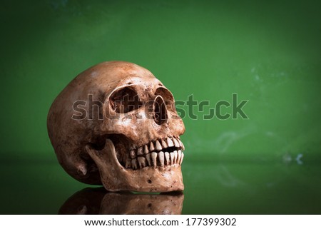 Weathered human skull with mirror image on green background, still life