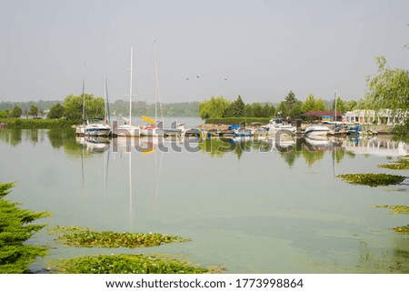 Yacht Club. Sailboats moored to the pier. Water with a greenish tint and islands of water lilies. Birds fly in the sky