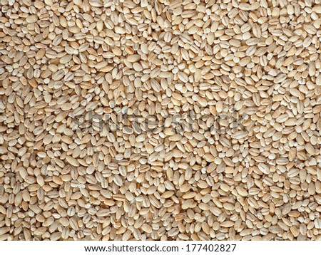 Dried pearled barley closeup flat food background Royalty-Free Stock Photo #177402827