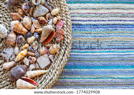 Shell composition background, top lay view. Shells selected by orange, brown color .