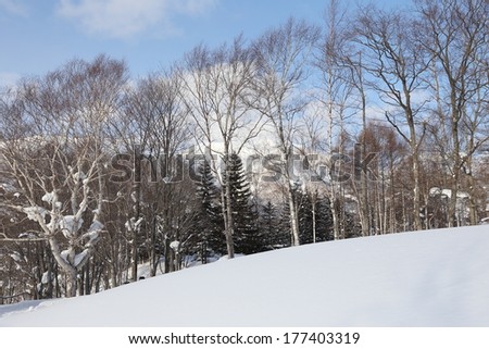 scene of snow mountain in hokkaido Japan