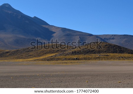 Andean landscape in the Atacama desert, Chile