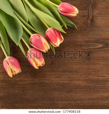 Tulips flowers on Wooden Background 