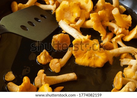 Stir fry of delicious golden chanterelles up close