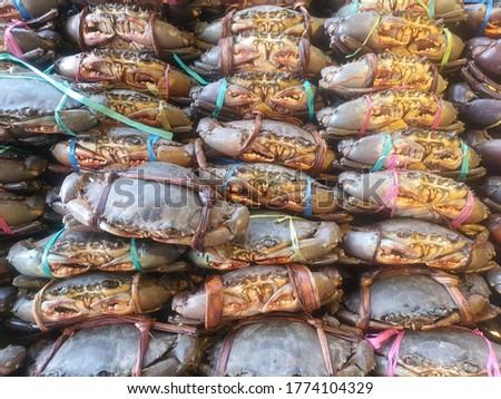 fresh crab for sale in fish market 