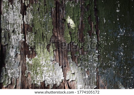 Gray old boards with peeling paint. Beautiful aged wood background