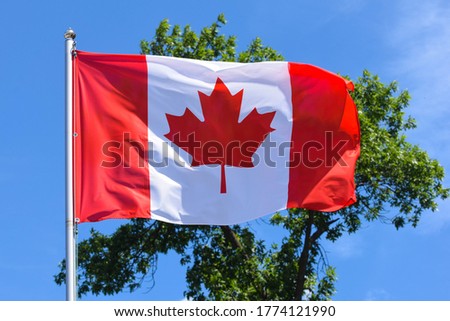 Canada flag in two colors, consisting of three vertical stripes: red-white-red with a red maple leaf in the center of the white stripe on a background of blue sky in the summer afternoon