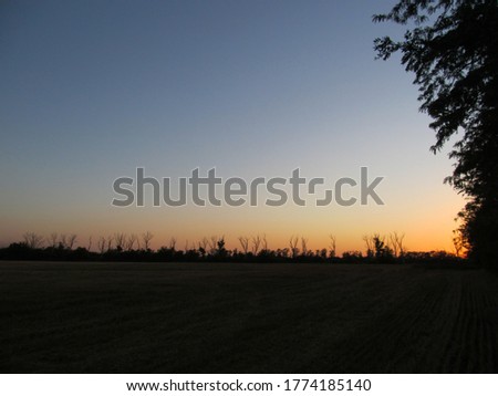 Field of the Krasnodar territory in the sunset